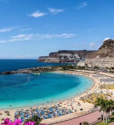 Vibe ,wifi ,espacio Trabajo,playa ,ocio